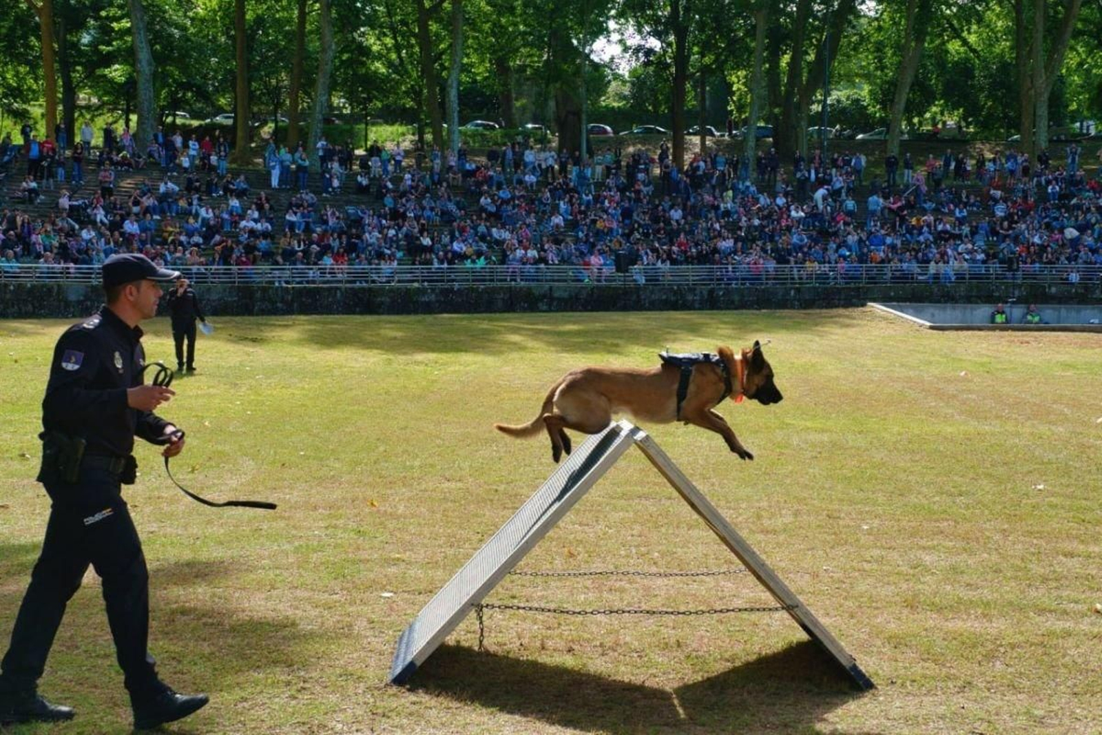 Con las gradas de Castrelos llenas, la Unidad de Guías Caninos hizo una exhibición de habilidad.