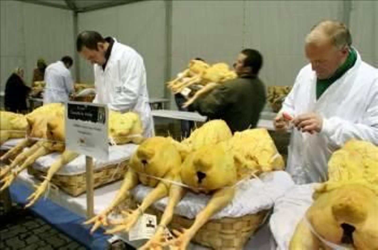 Puestos de venta asentados bajo una gran carpa en la Plaza de la Constitución para la Feira do Capón de Vilalba.