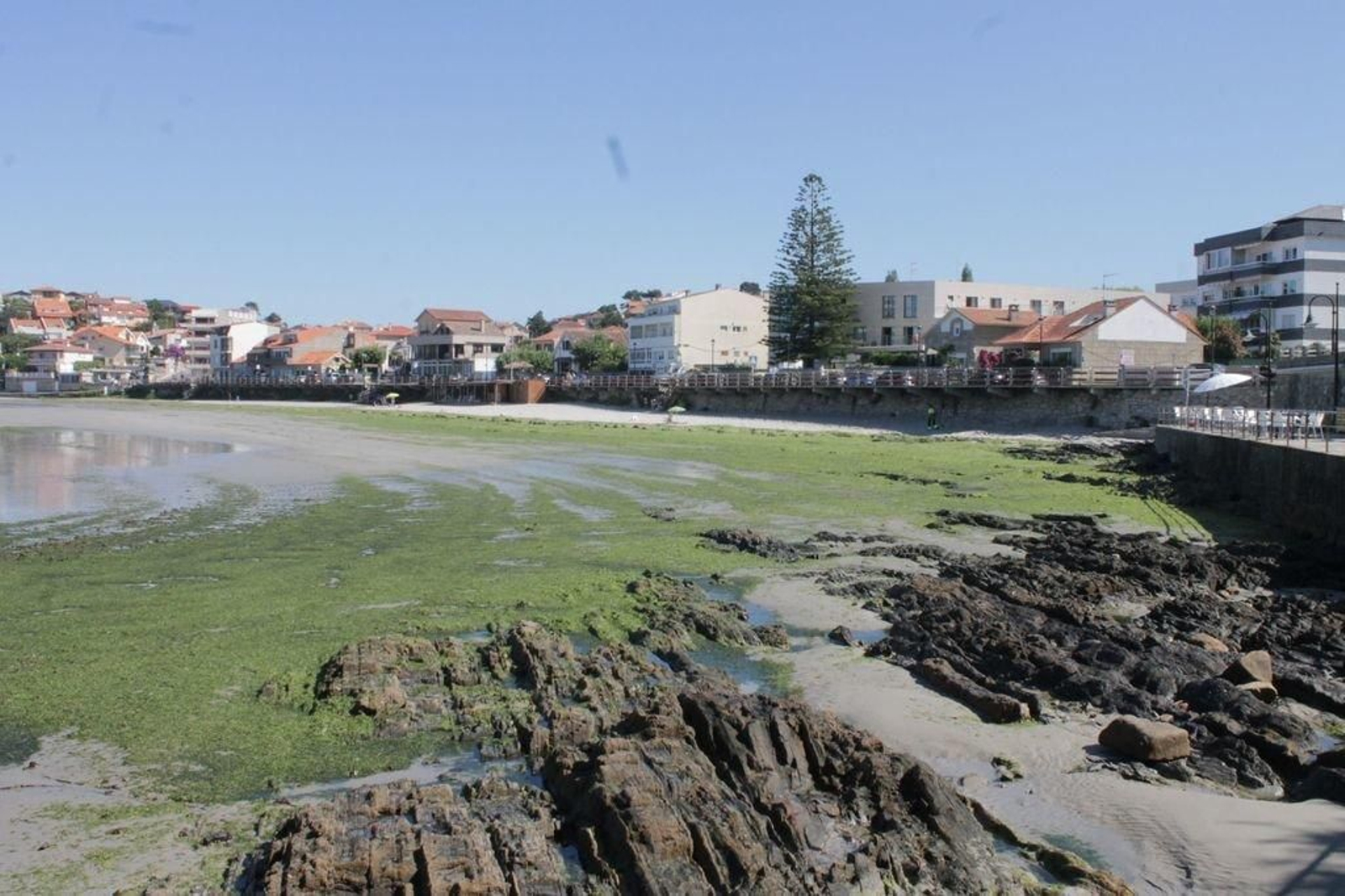 La playa de A Madorra, por su situación, es muy propensa a la acumulación de algas.