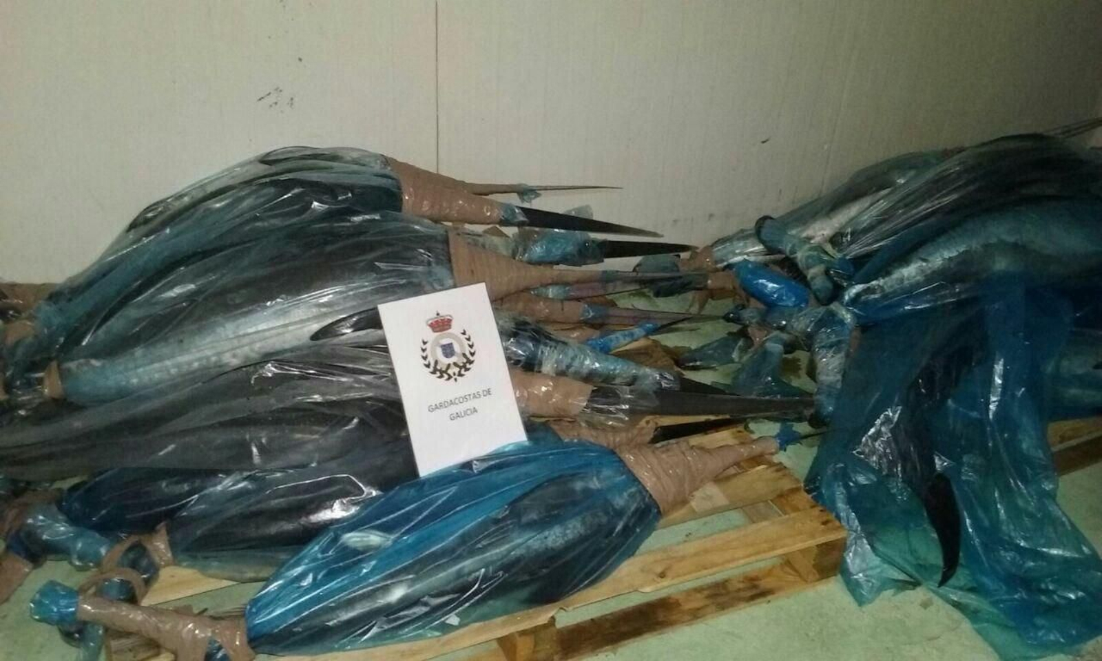 Decomisados 300 kilos de pez espada