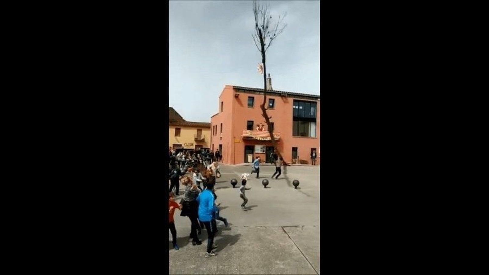 Momento en el que cae el árbol.
