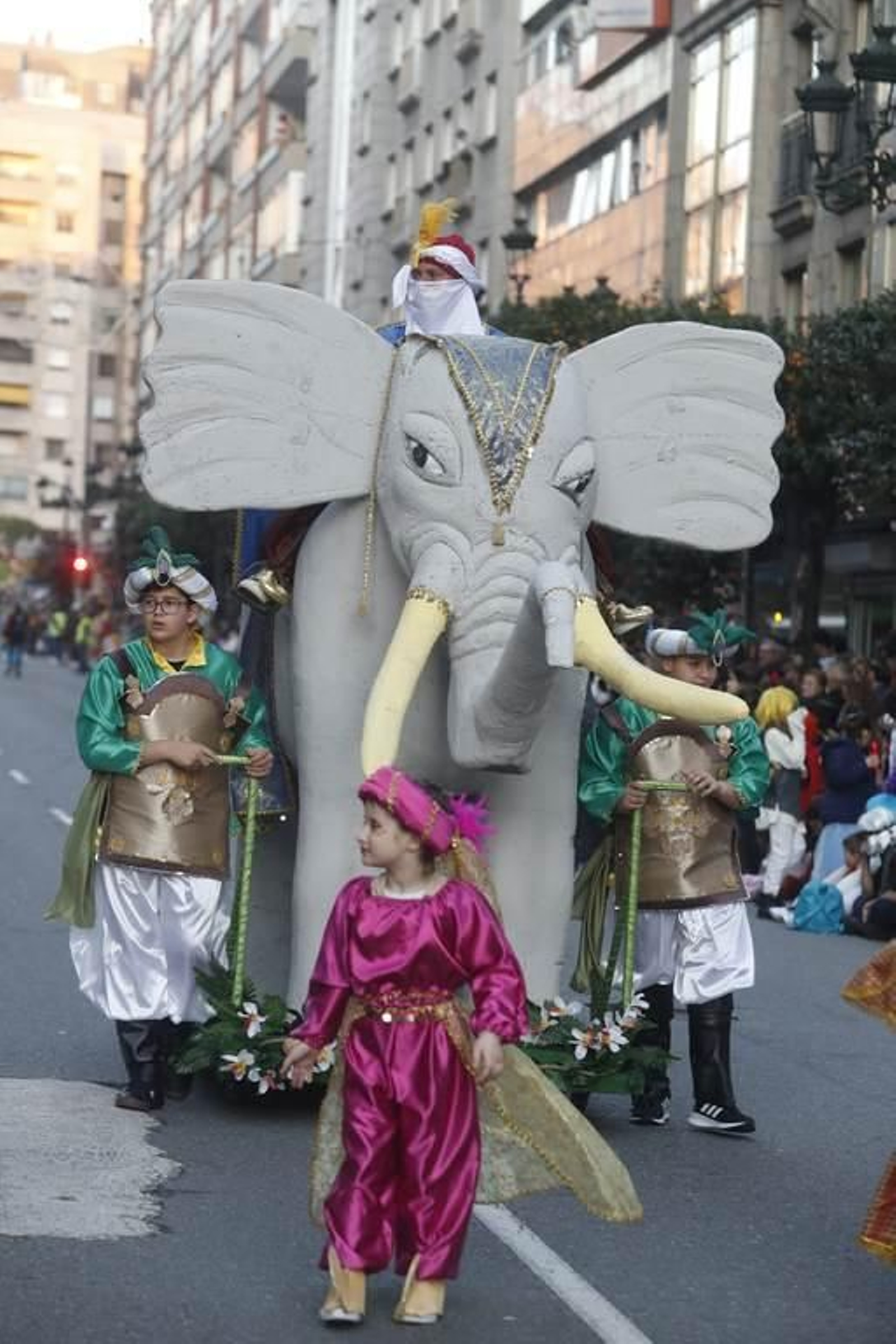 Desfile del Entroido en Vigo 352