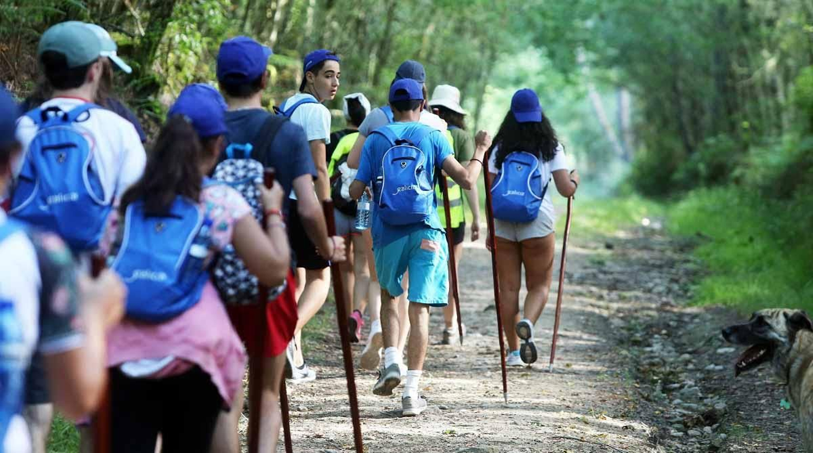 El plazo de solicitud estará abierto hasta el 16 de junio