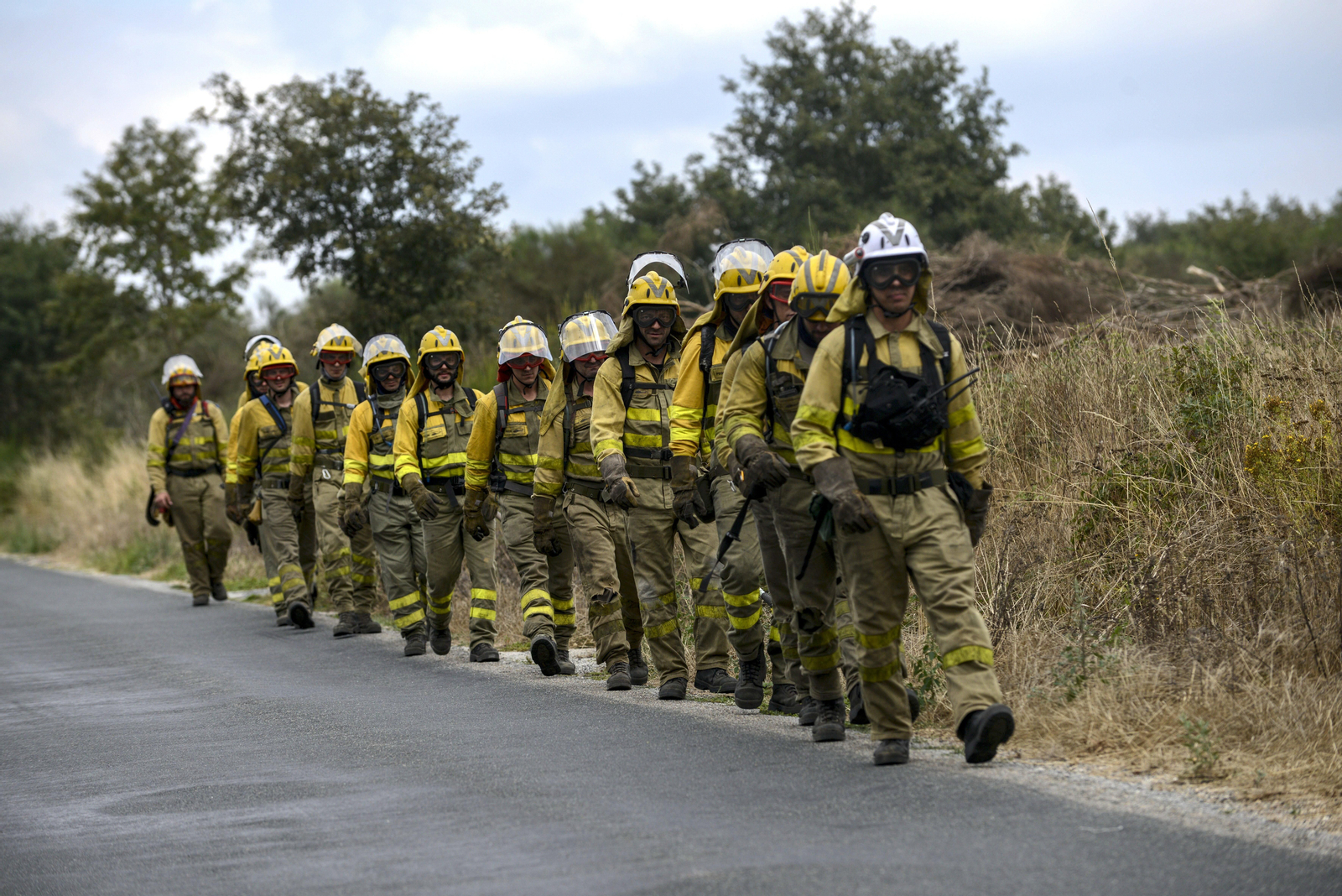 Un grupo de brigadistas, desplegado en un monte de Ourense.