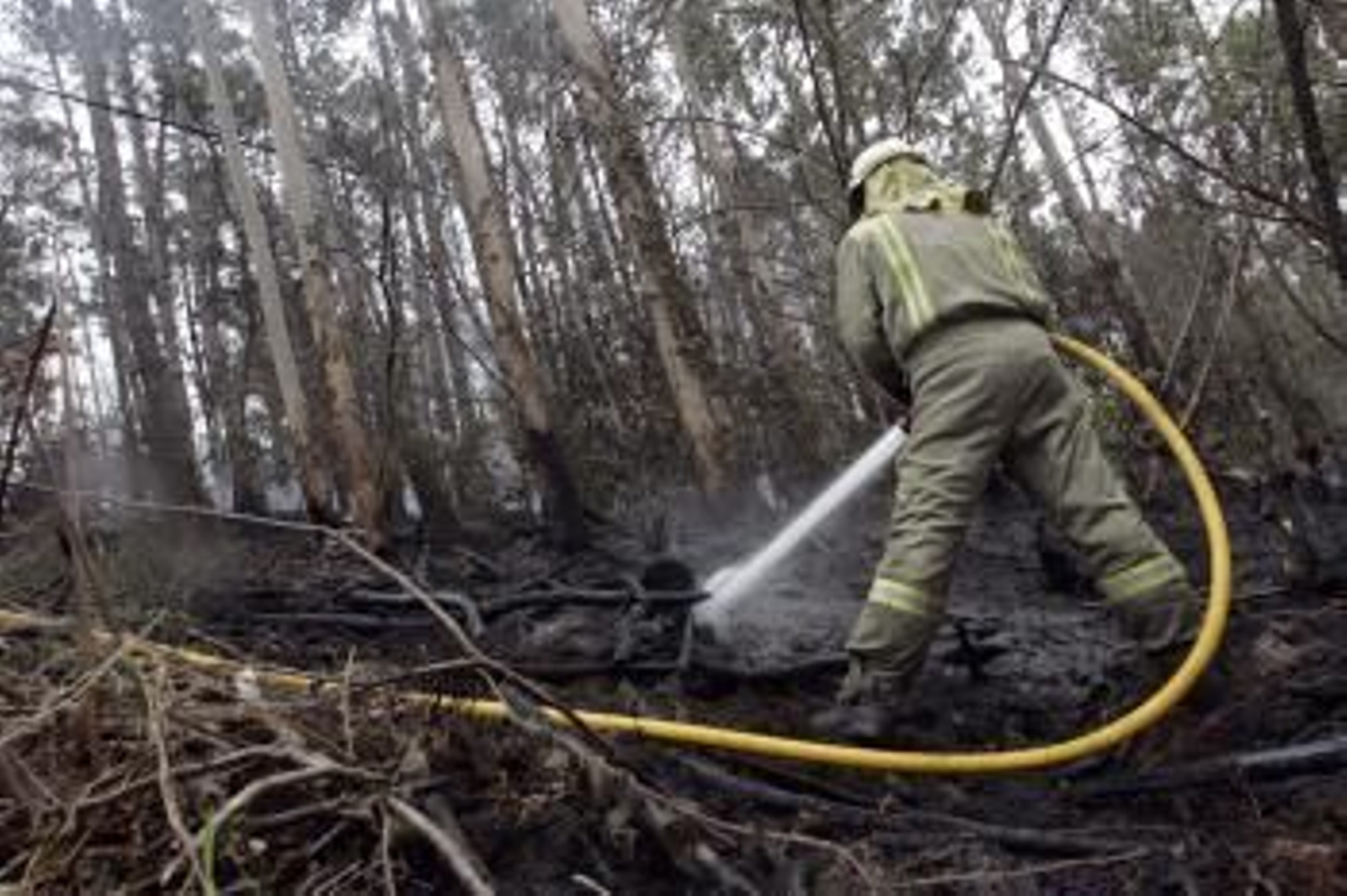 Un miembro de los efectivos contra incendio esparce hoy agua para enfriar, en Monfero (Foto: EFE)
