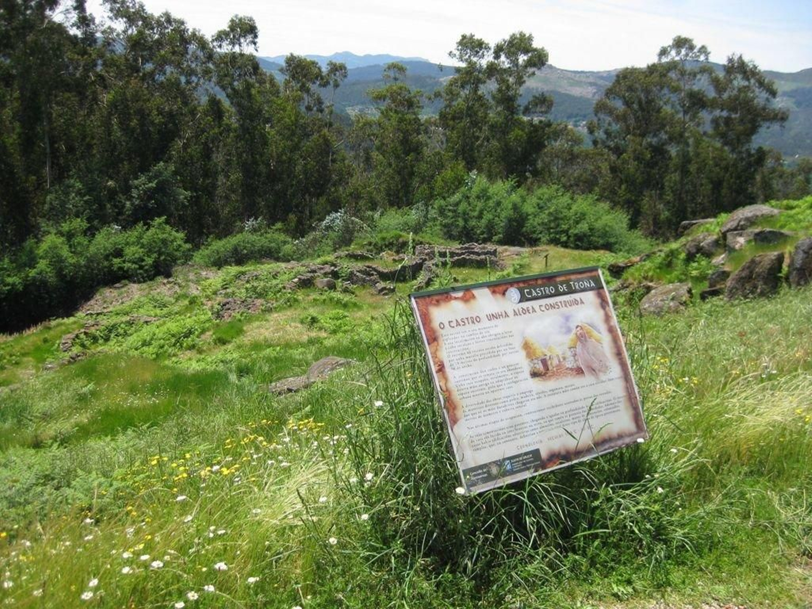 Estado del Castro de Troña.
