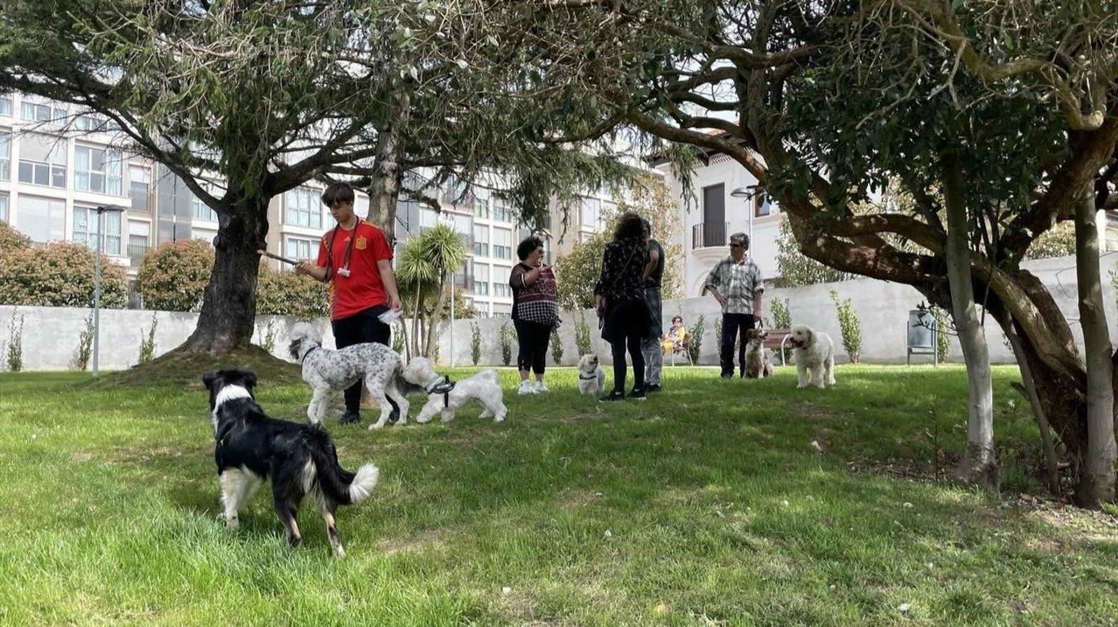 Un parque de perros. // E.P.