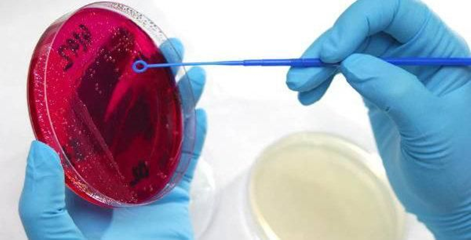 Laboratorios_IIIModif.JPG_729600497