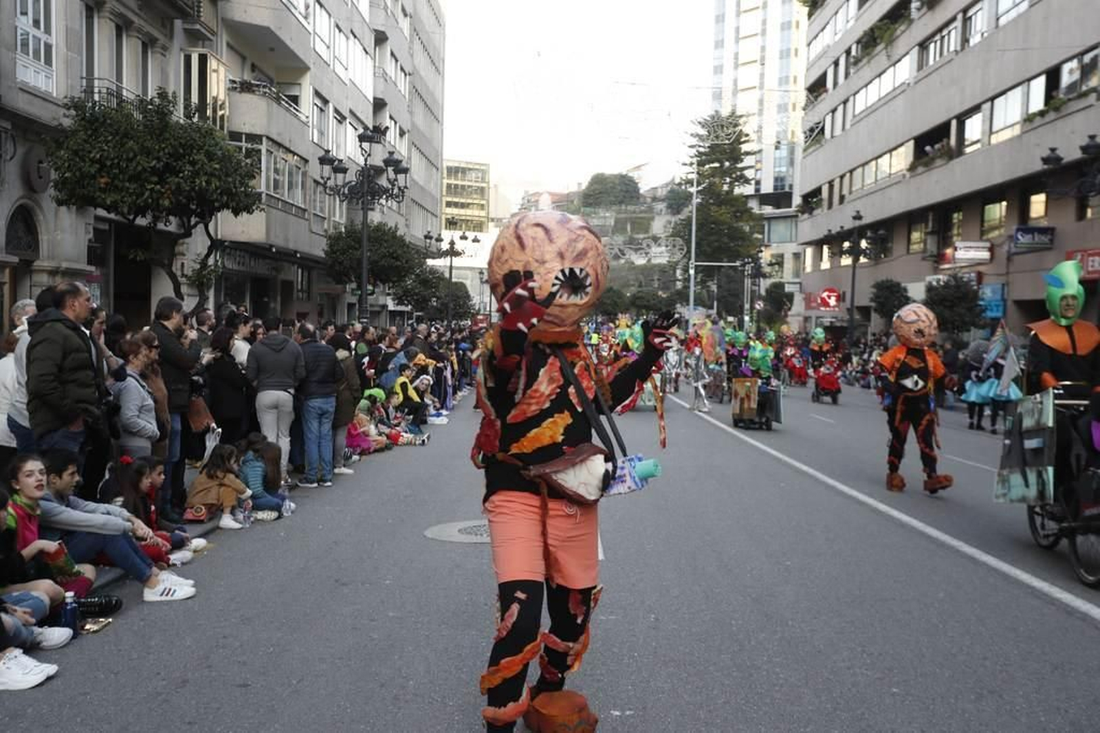 Desfile del Entroido en Vigo 527