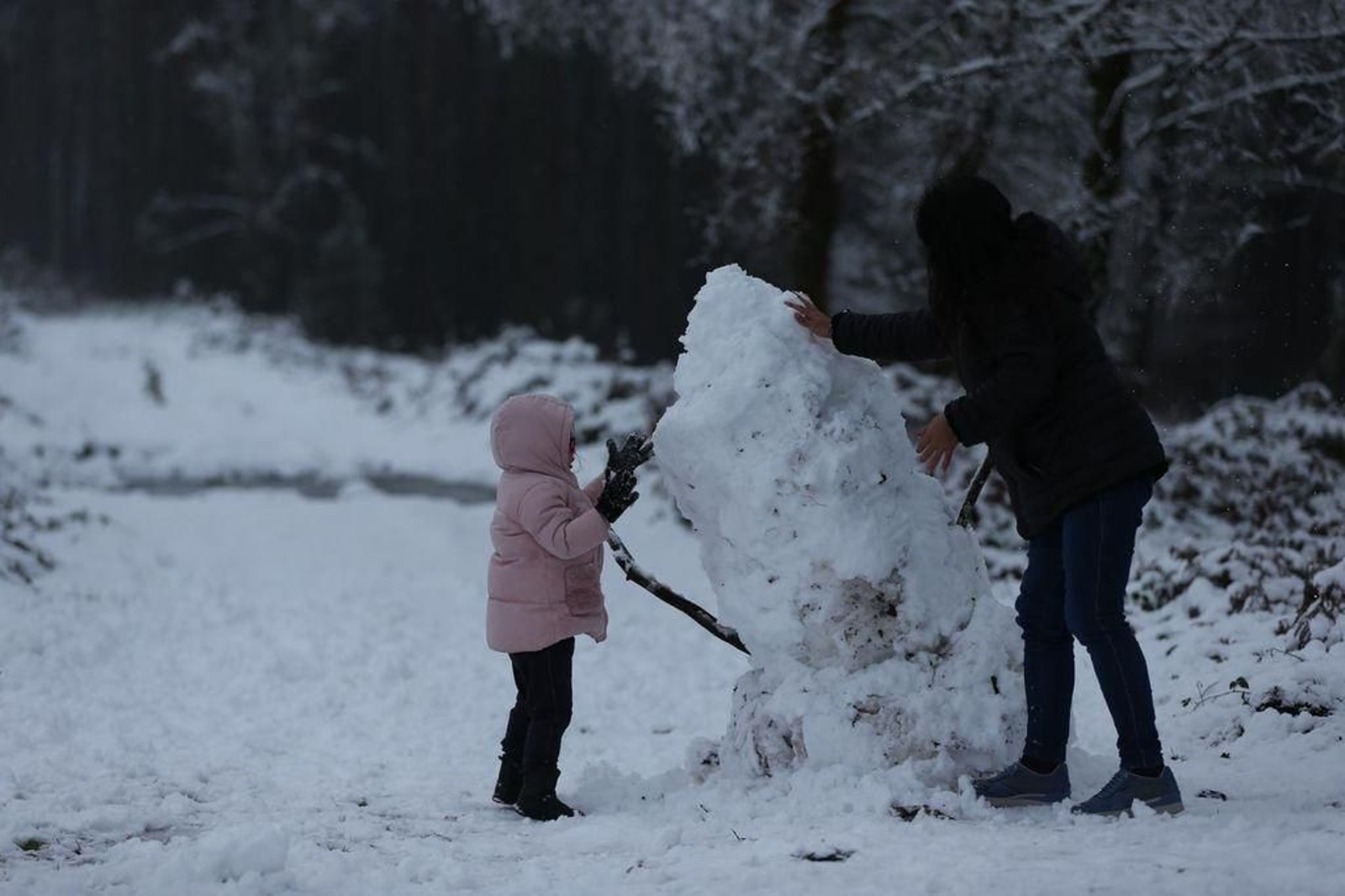 La nieve cubre el Alto de Fontefría // Alberte