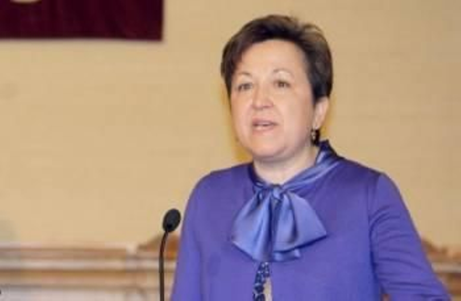 Pilar Farjas (Foto: Archivo)