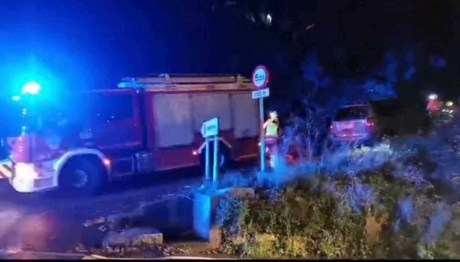 Los bomberos de Vigo trabajando en la retirada del árbol caído en Castrelos.