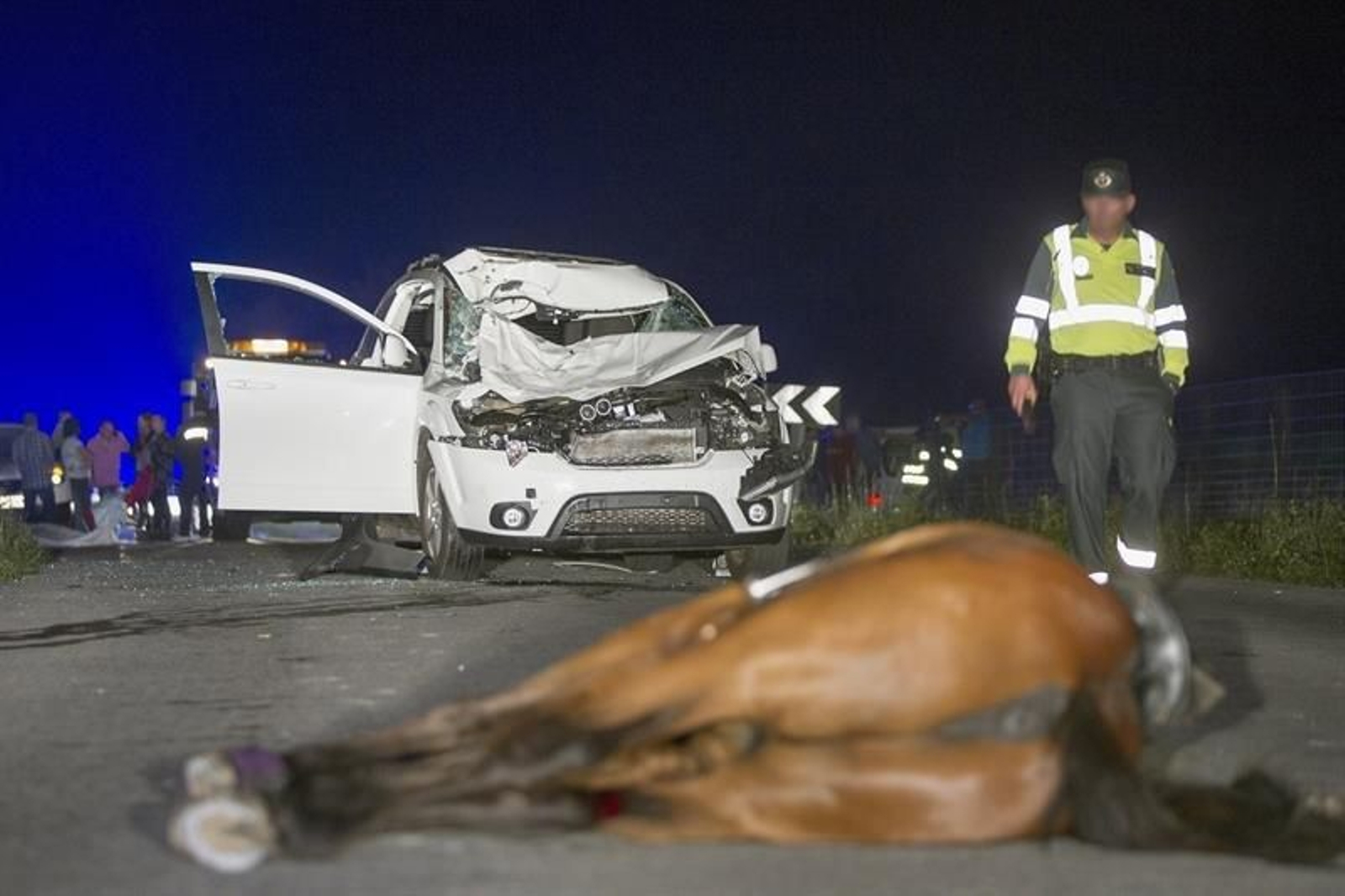 Una mujer y el caballo que montaba han fallecido esta medianoche en Vilalba