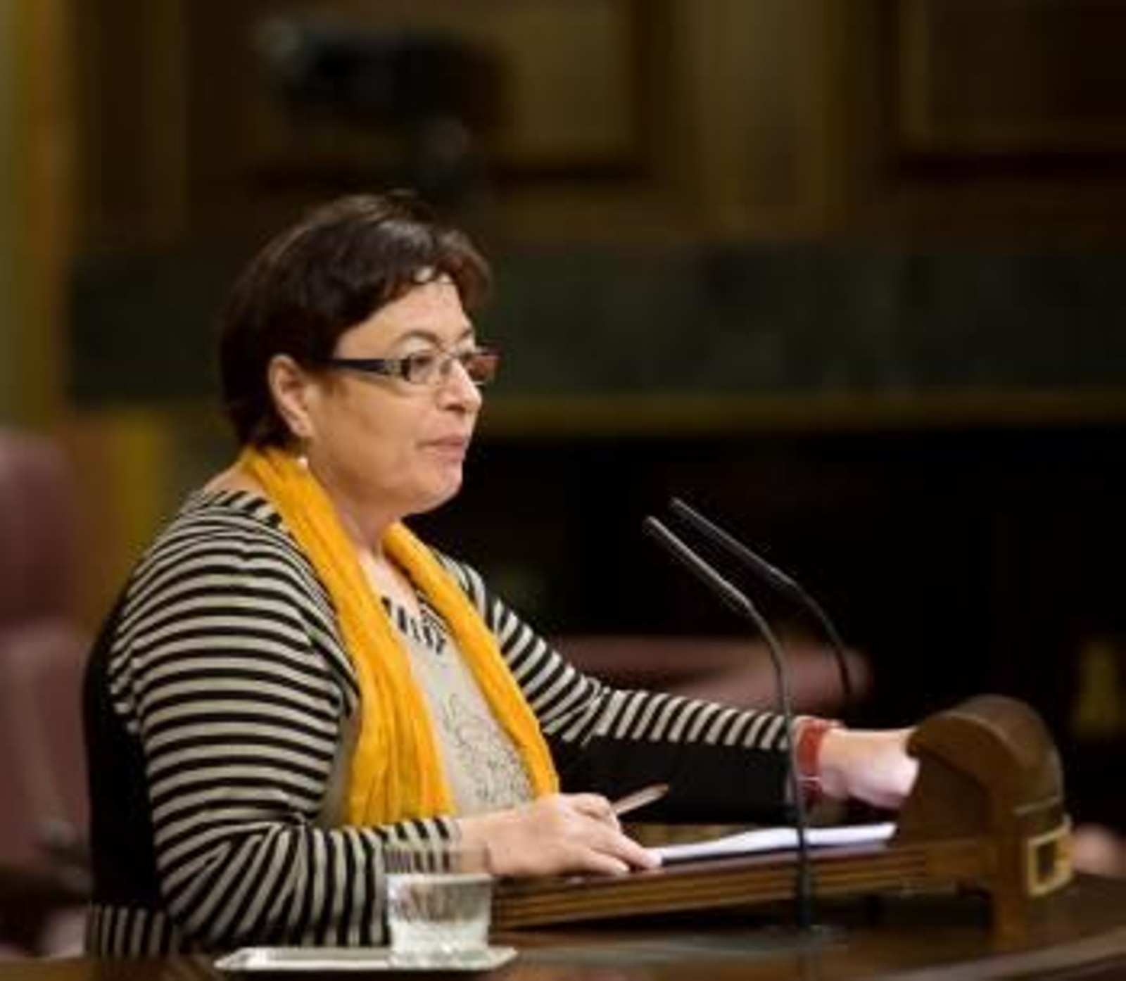 Olaia Fernández Davila, Diputada Del BNG