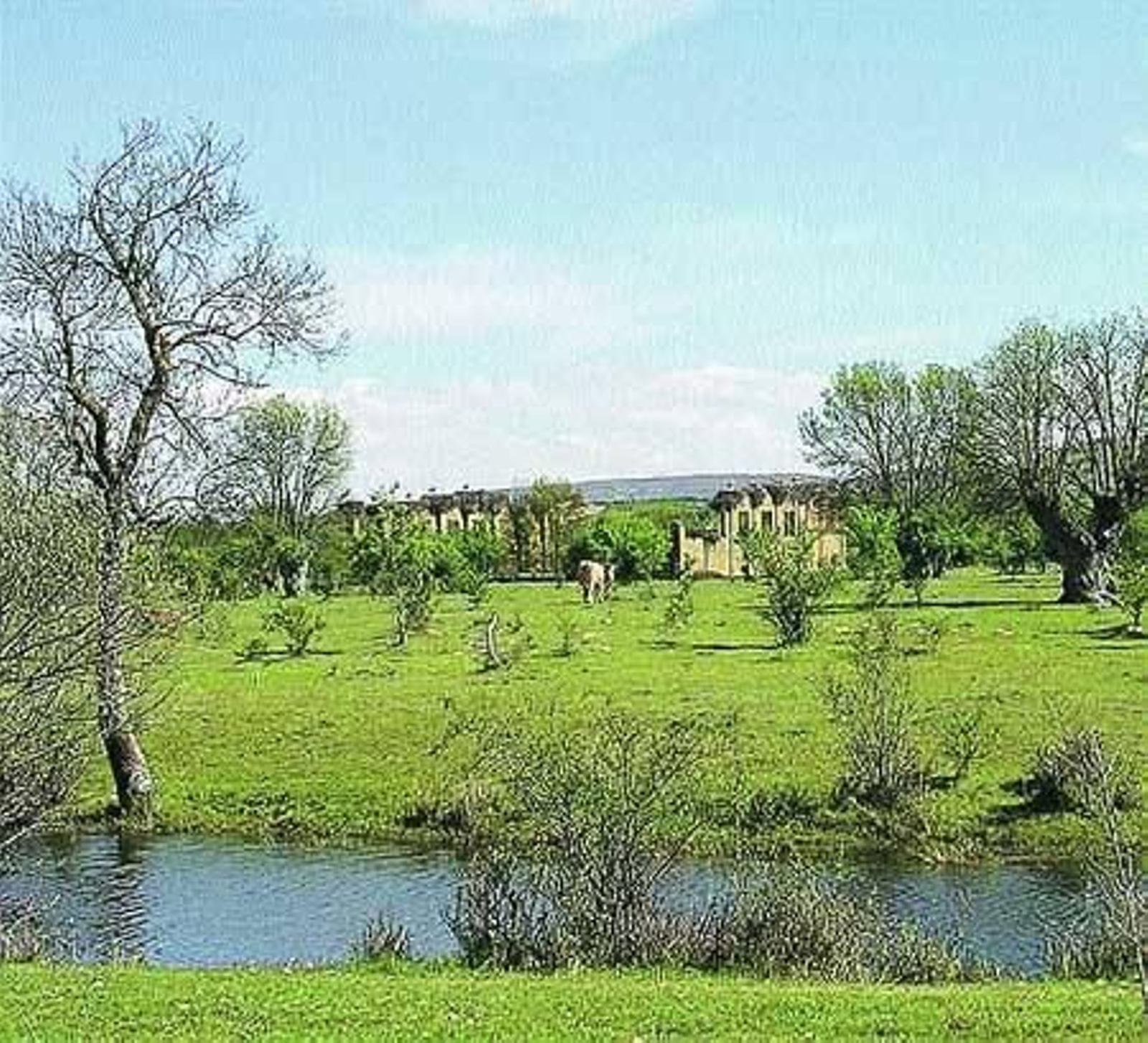 Zona de ubicación de la Ciudad de Medio Ambiente en Soria.