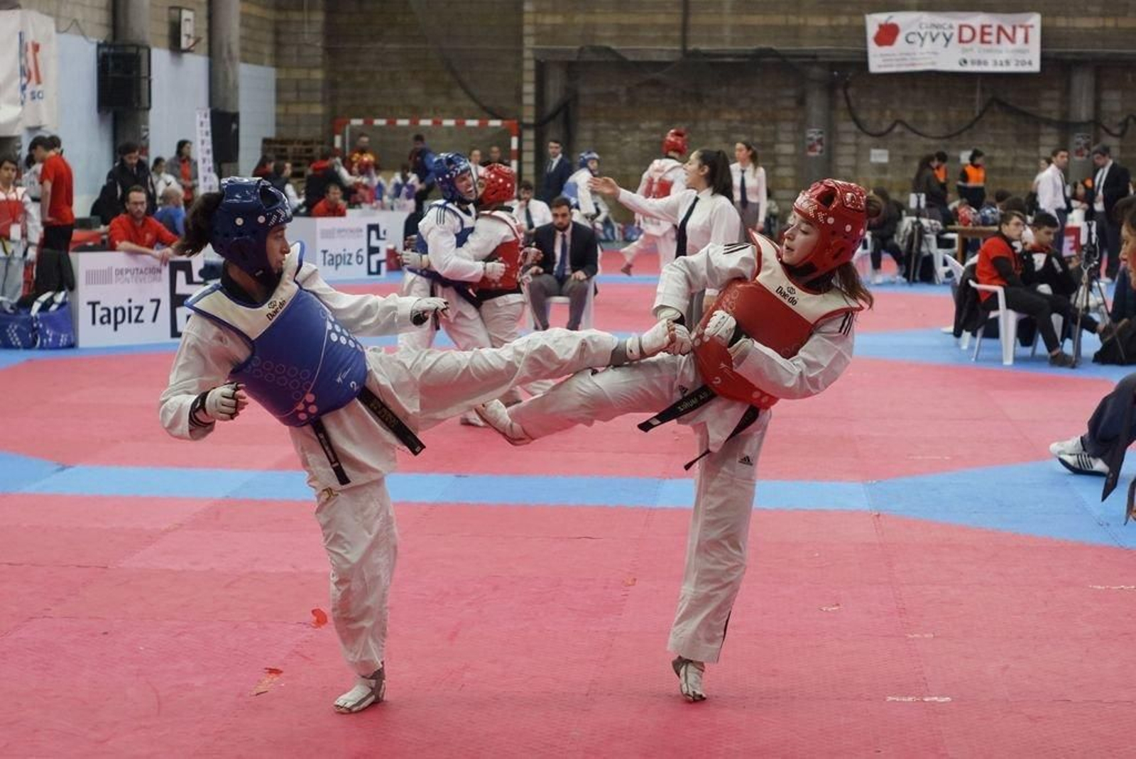 Medio centenar  de taekwondistas en combate