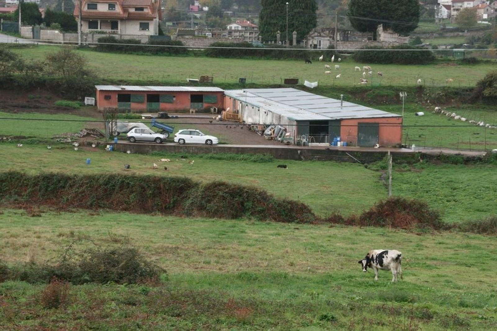 Explotación ganadera ubicada en la parroquia de Zamáns, con vacas, ovejas y diversas aves.