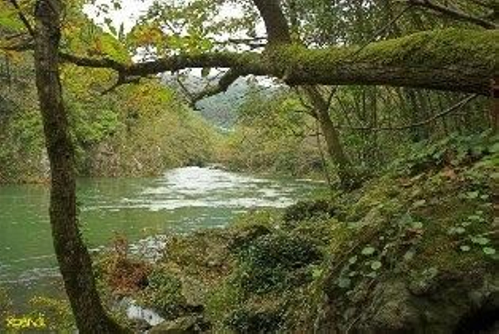 Imagen de archivo del río Eume.