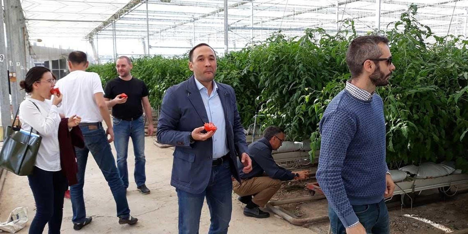 La agricultura de invernadero se encuentra en auge en el país kazajo desde finales de 2013,