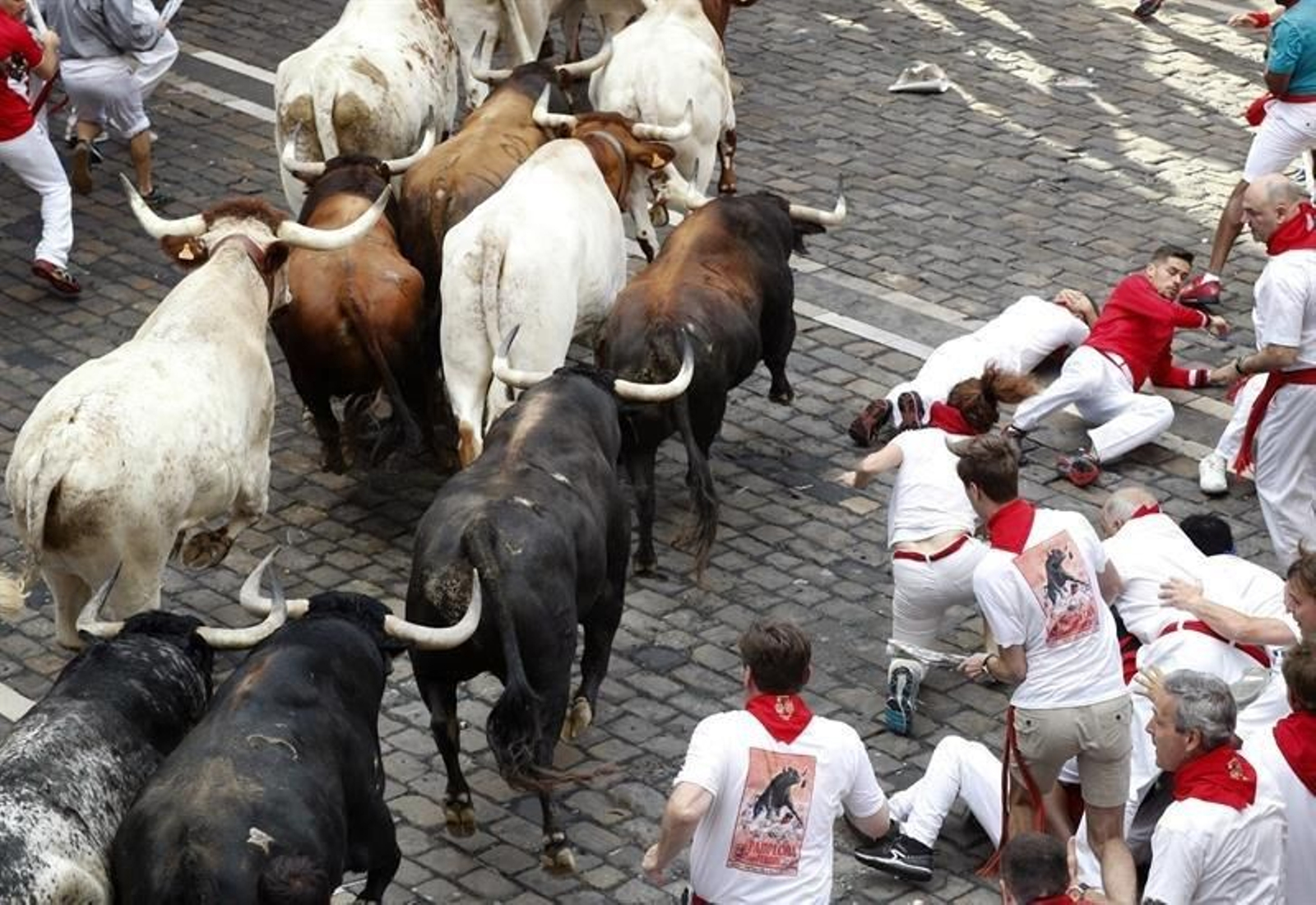 Los toros de la ganadería gaditana de Cebada Gago llegan a la Plaza Consistorial durante el segundo encierro de los Sanfermines 2019