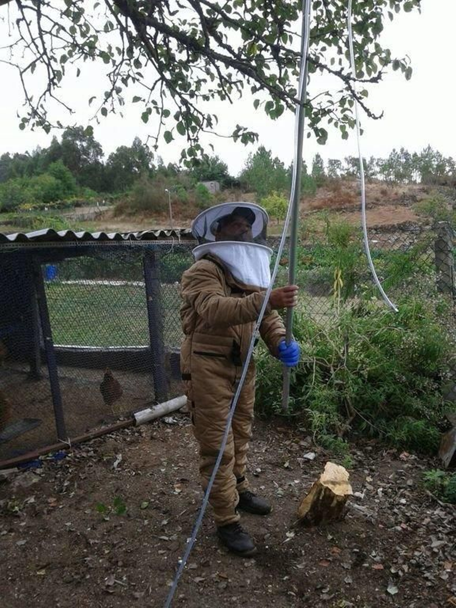 El Ayuntamiento compró una pértiga y vestimenta apropiada.