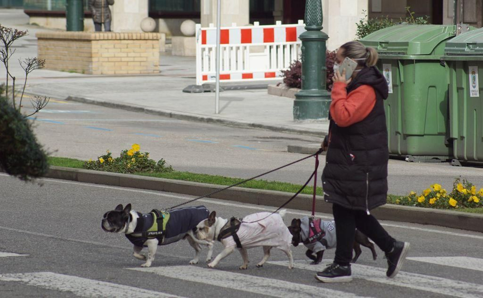 Además de para trabajar y comprar comida, se puede salir a pasear el perro.