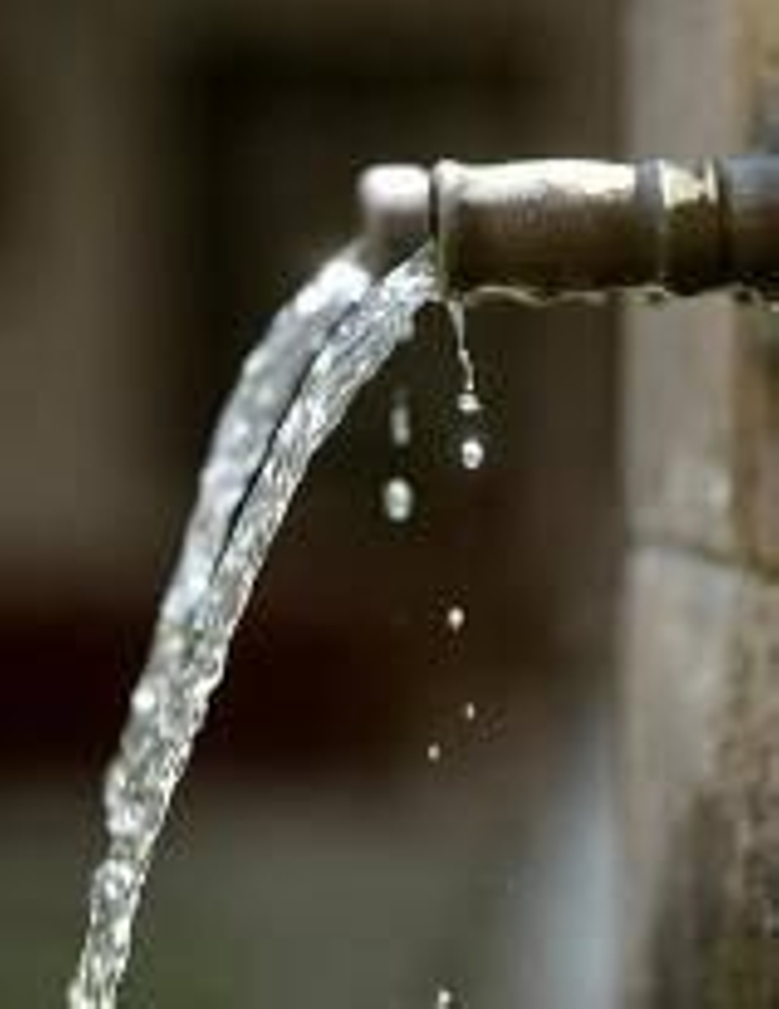 En la imagen, una fuente.