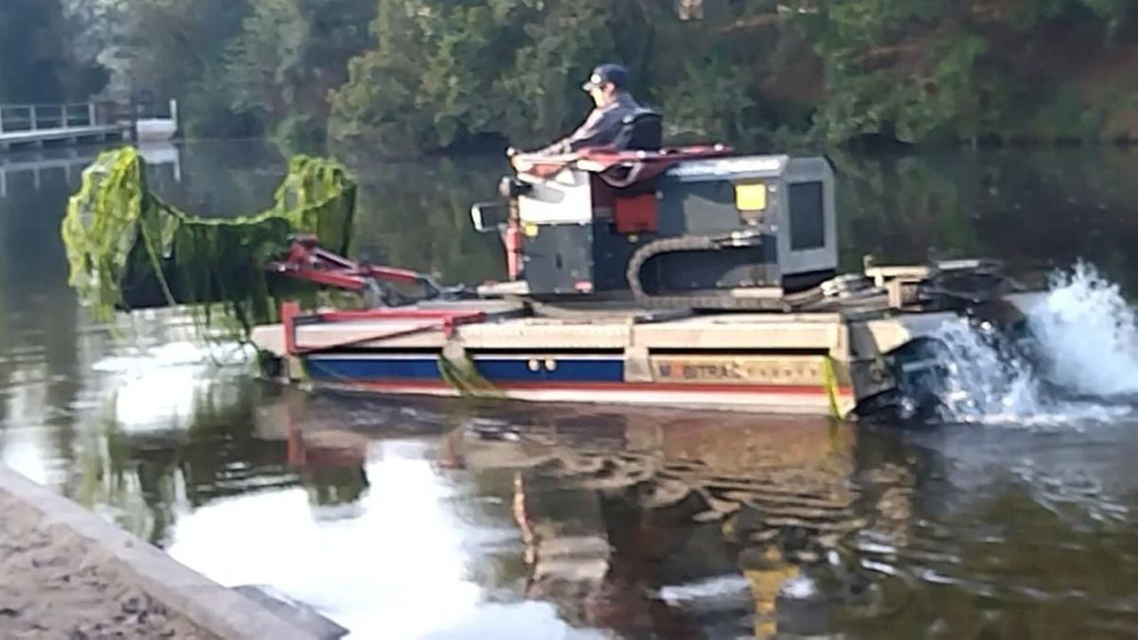 Maquinaria y operarios de Patrimonio Natural retiran del Tea  la ‘Egeria Densa' de Brasil.
