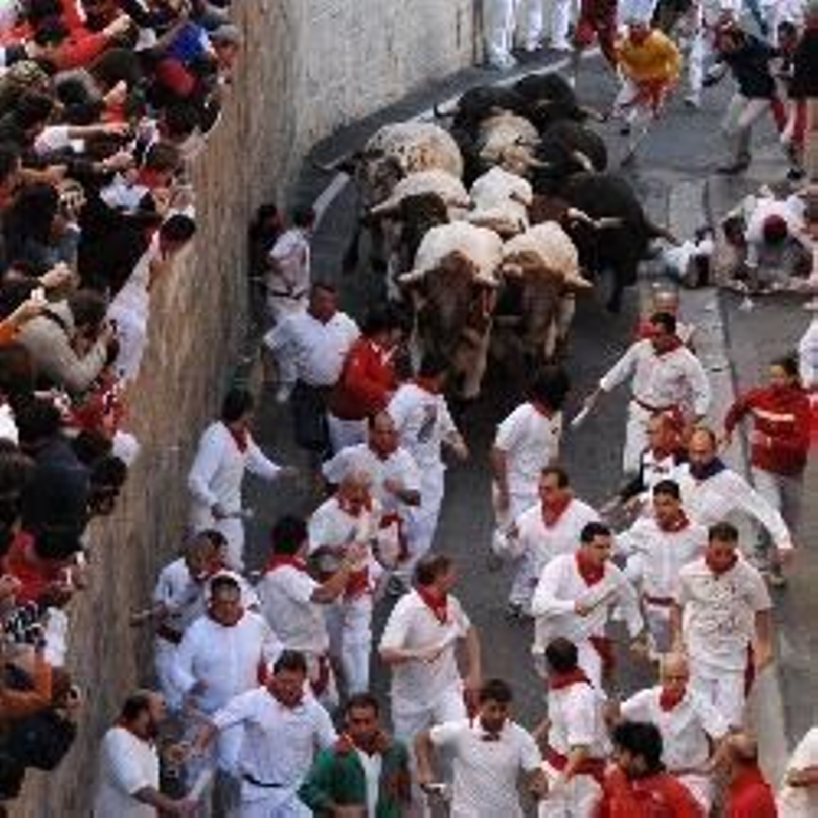 La fiesta navarra podría ser declarada Patrimonio Cultural Inmaterial de España.