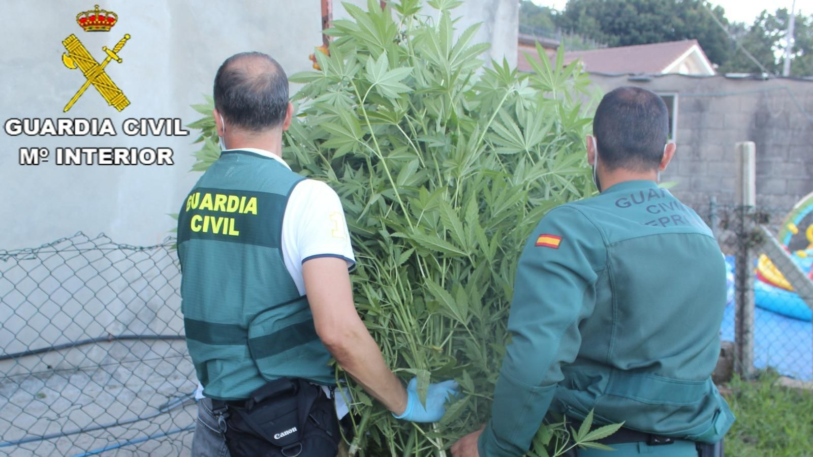 Los agentes procedieron a la detención de una pareja de 31 años y un amigo de 35