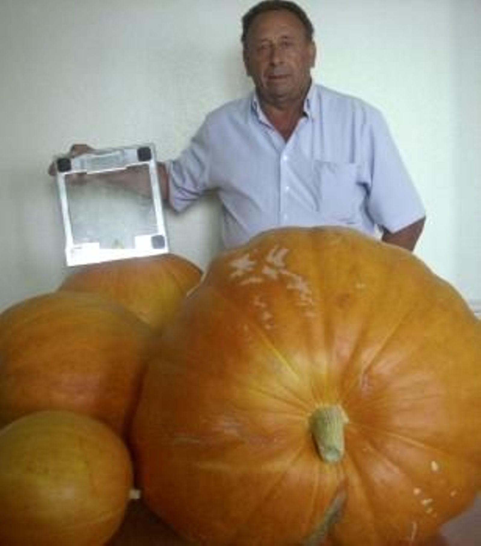 José Manuel Lozano posa con las calabazas.