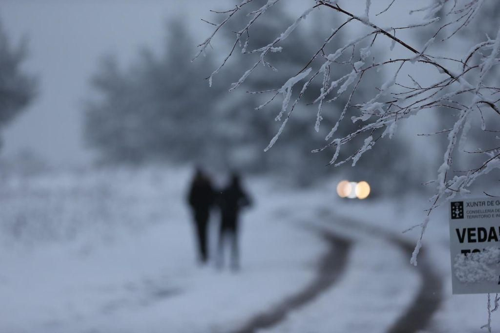 La nieve cubre el Alto de Fontefría // Alberte