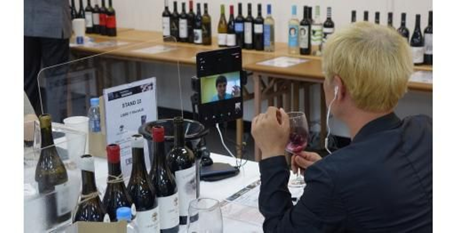 Aragón Exterior vinos web