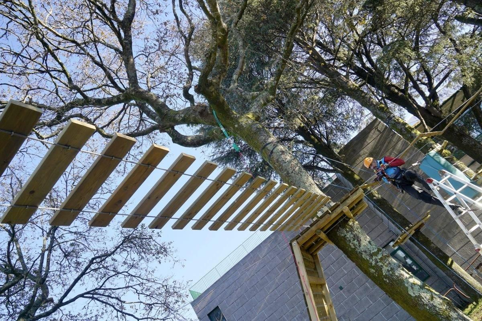 La tirolina ya está instalada en la zona arbolada a la entrada de Vigozoo. Formará parte de un circuito para público infantil.