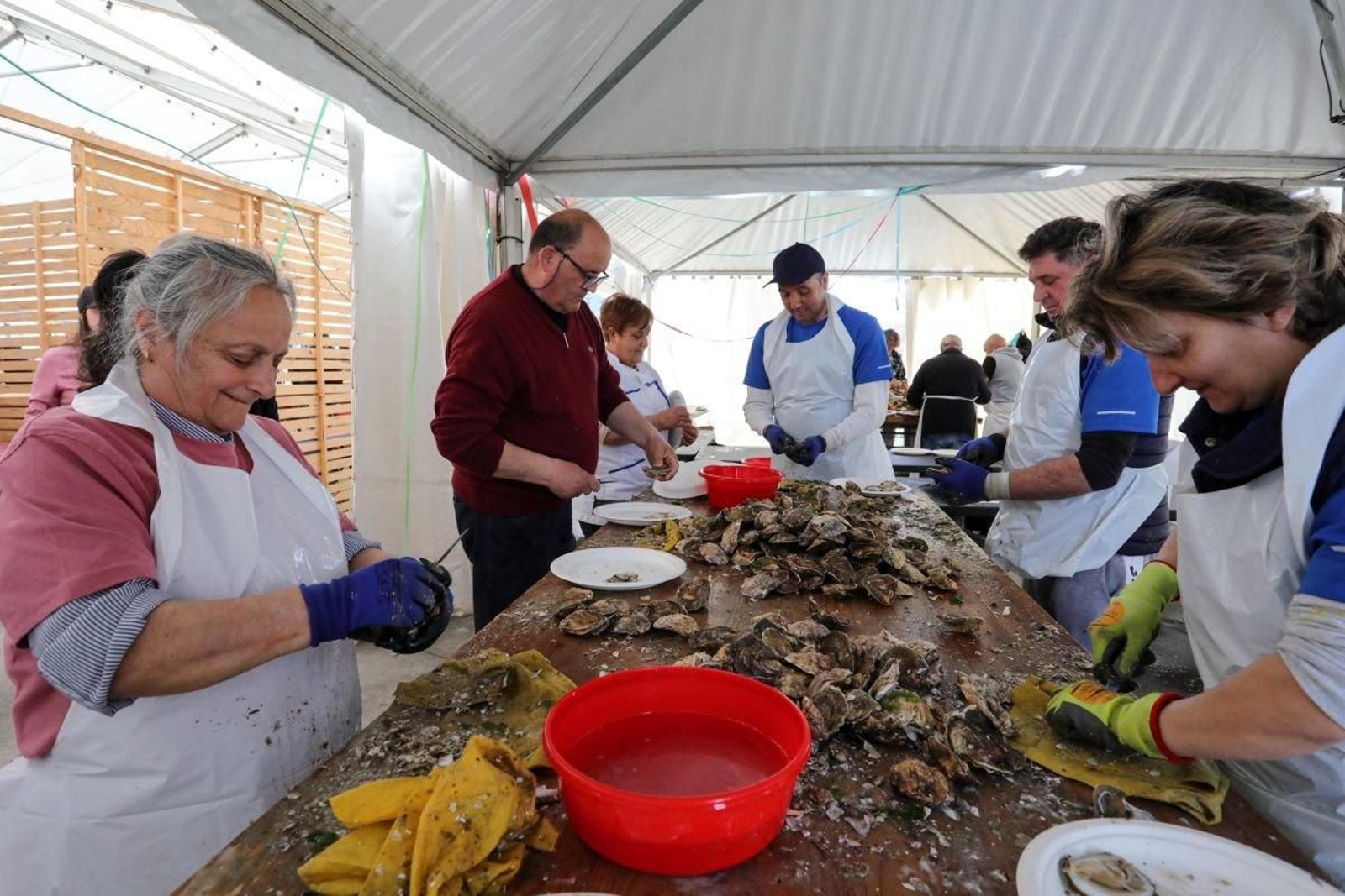 Abriendo ostras durante la fiesta celebrada el pasado año en Arcade.