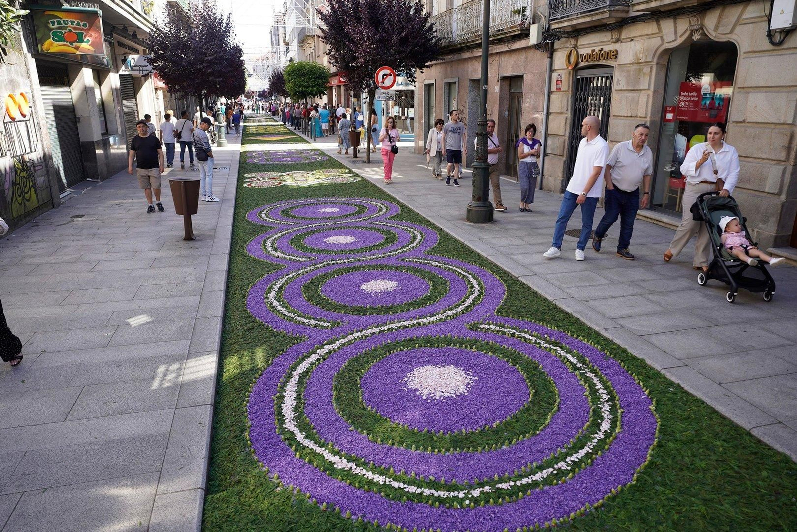 Alfombras florales en la Festa da Coca de Redondela 2024.