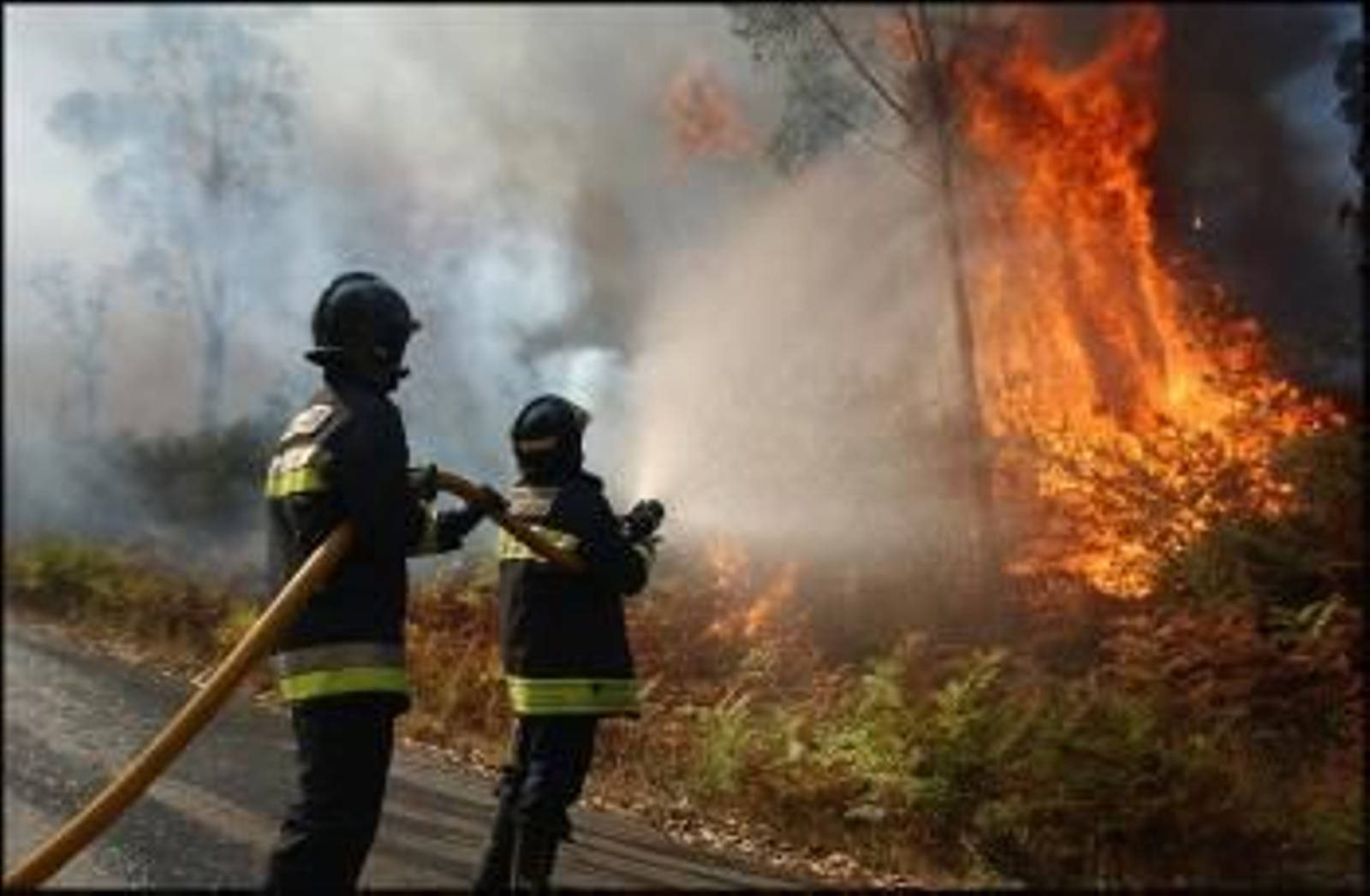 Incendio forestal en Galicia, bomberos y vecinos de los pueblos intentando apagar el fuego prendido en los montes gallegos