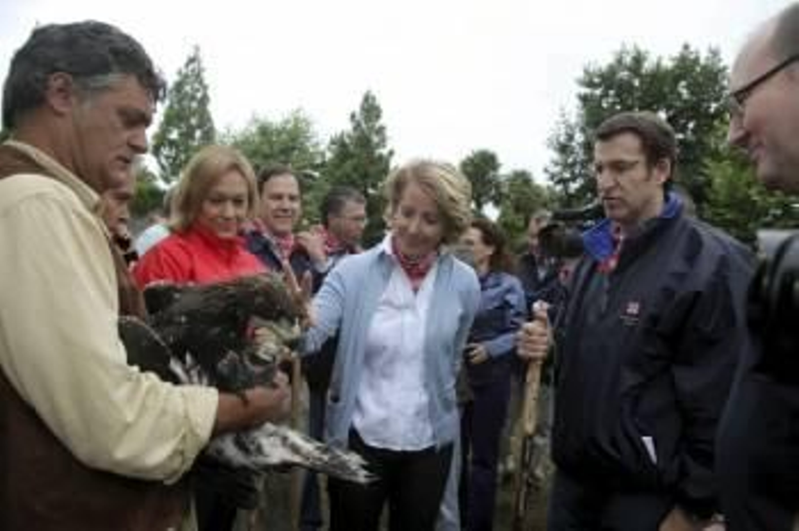 Aguirre y Núñez observan el águila.