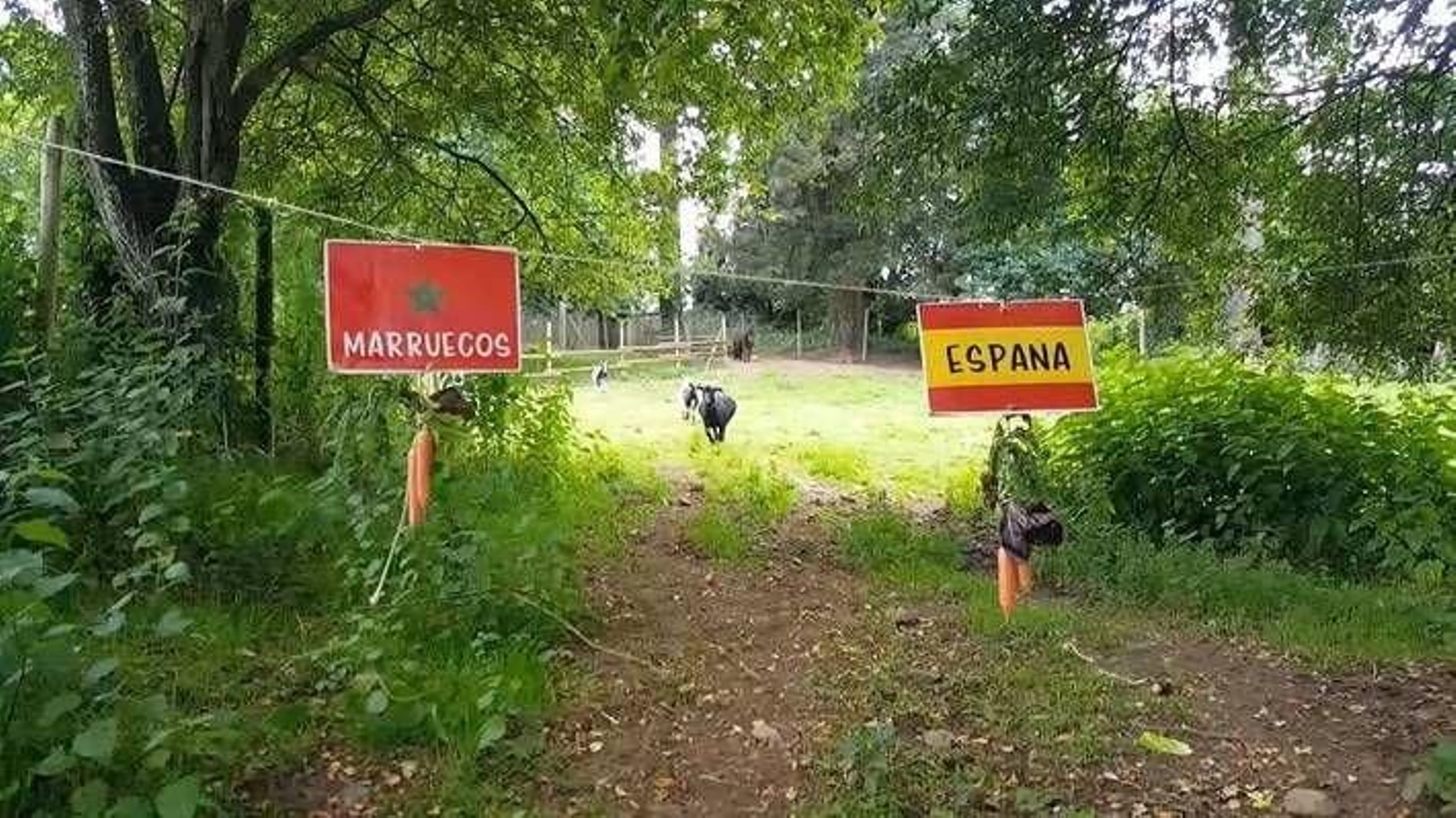 El decisivo momento en que Pepa se dispone a predecir el resultado.