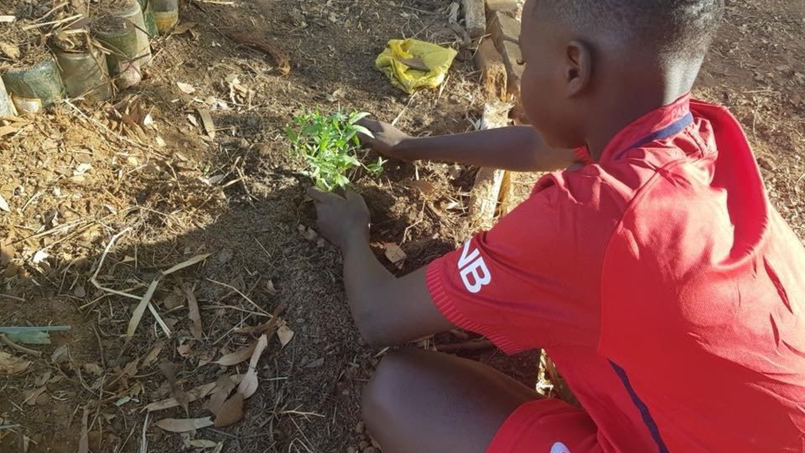 29176828_1855120667834050_8555197772683280384_n