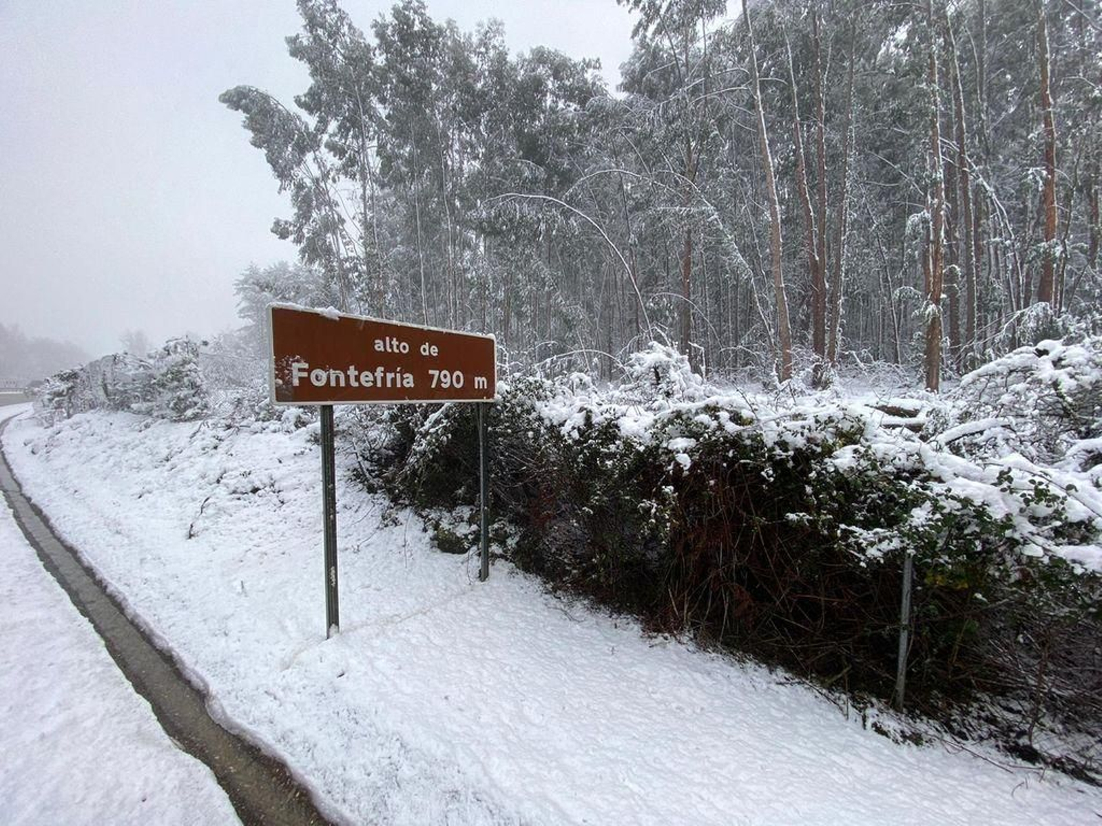 La nieve cubre el Alto de Fontefría // Alberte