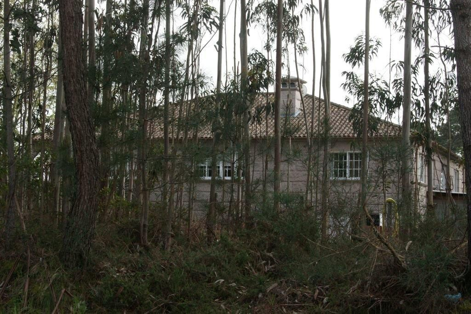 La vivienda de los "morones" habría sido atacada de madrugada.