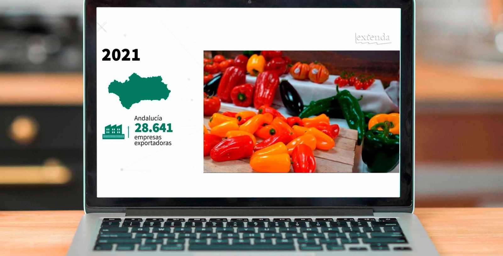 Andalucía Empresas Exportadoras web