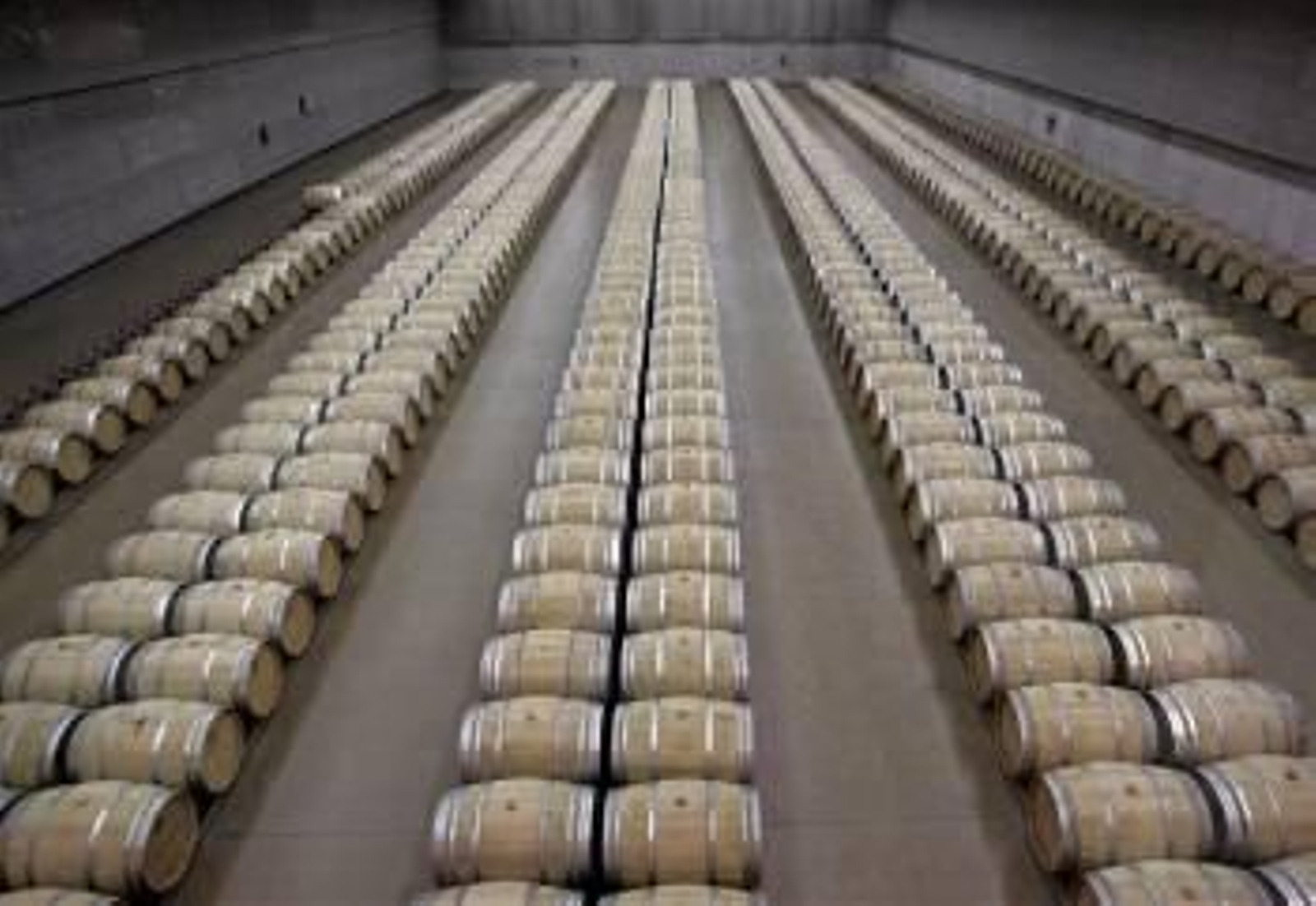 Bodega de vino (Foto: Archivo)