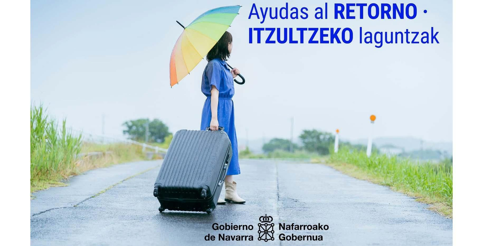 Navarra Ayudas al retorno