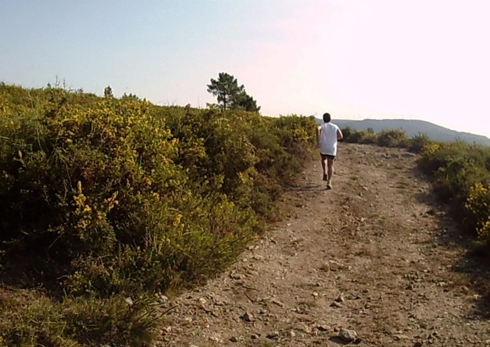Los participantes atravesaron el monte de A Cañiza.