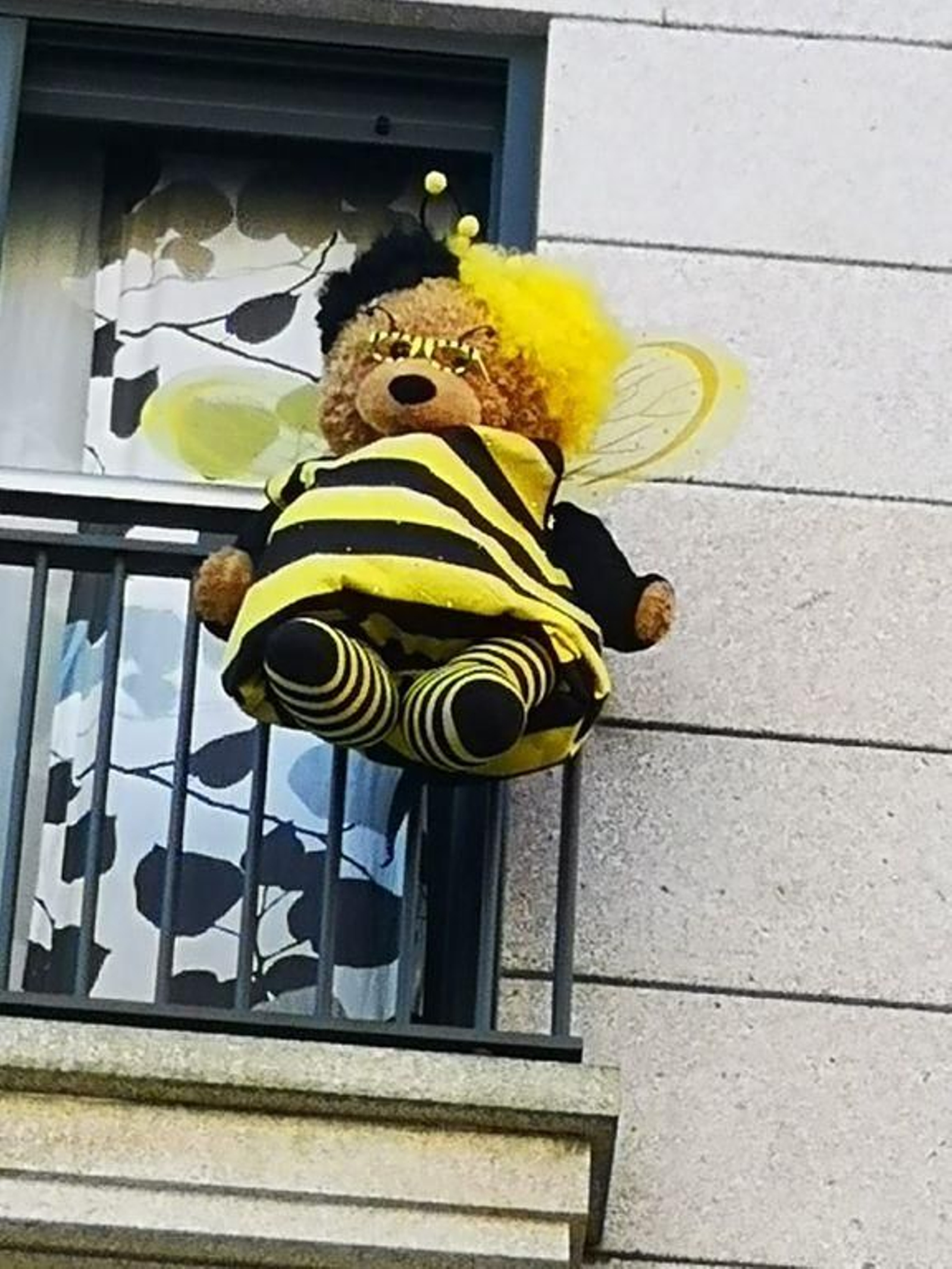 36 días de estado de alarma 19