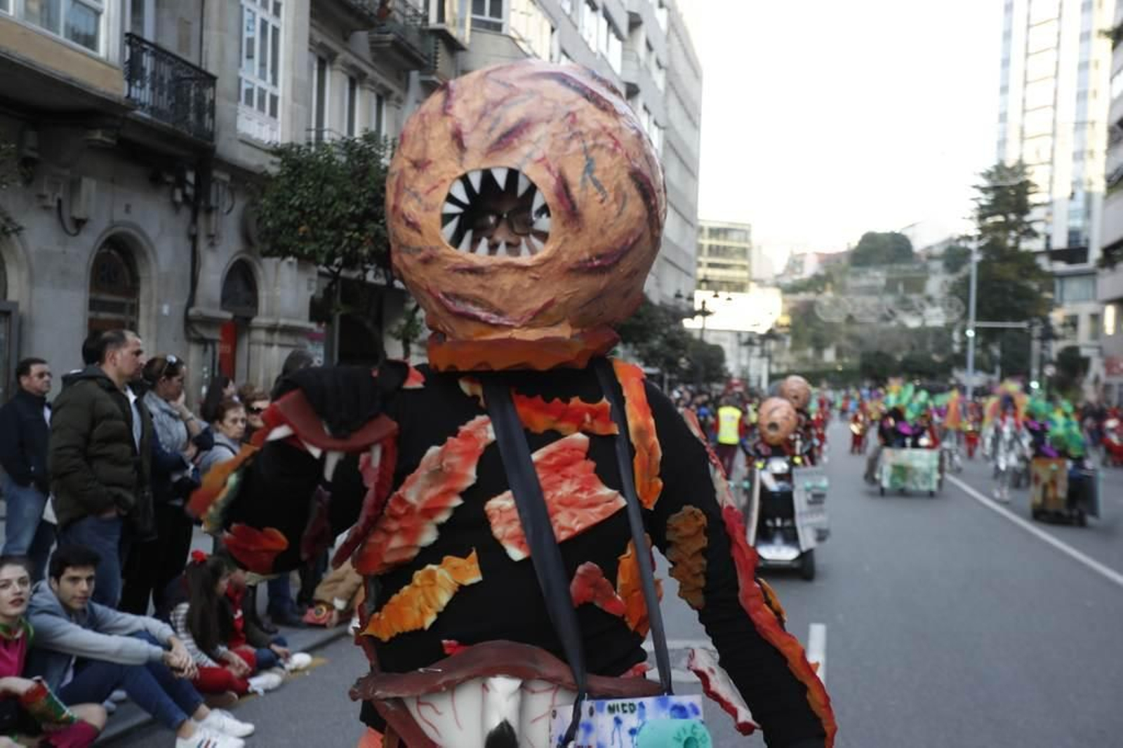 Desfile del Entroido en Vigo 525