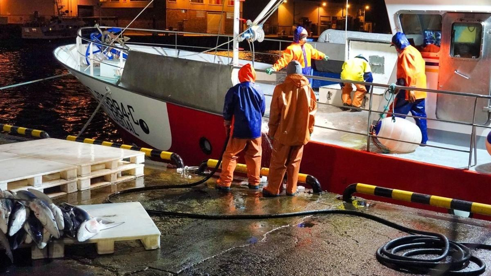Pescadores descargando sus capturas en el muelle de O Berbés.