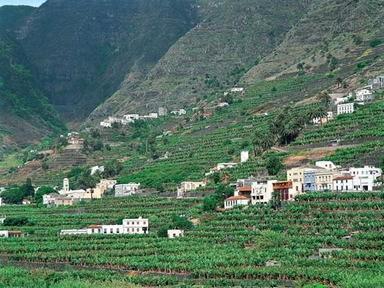 Terrazas de cultivo.